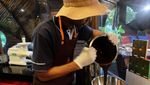 Sehari Jadi Ahli Bikin Cokelat di Sumba