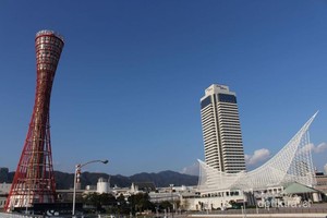 Sehari Menjelajahi Kobe, Tak Sekadar Daging Sapi Kualitas Wahid