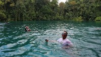 Airnya yang jernih dan sejuk untuk renang