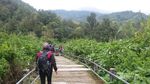 Sejukkan Hati dan Pikiran di Air Terjun Cibereum