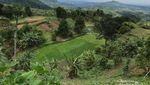 Sejuknya Curug Mariuk di Balik Bukit Masigit Bogor