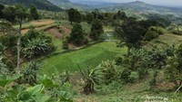 Panorama alam di sekitar curug