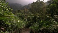 Salah satu jembatan kayu untuk menuju air terjun