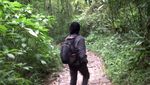 Sejuknya Jalur Pendakian Gunung Gede Pangrango