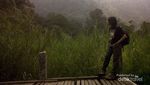 Sejuknya Jalur Pendakian Gunung Gede Pangrango