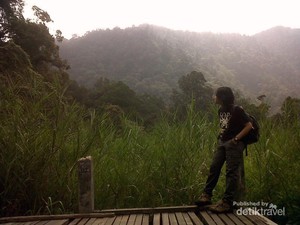Sejuknya Jalur Pendakian Gunung Gede Pangrango
