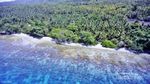 Sekali Seumur Hidup, Mesti Datang ke Pulau Bacan!