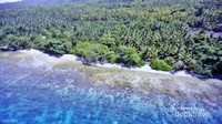 Pantai Kubung wajib didatangi bagi pecandu snorkeling dan freediving.