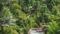 Pemandangan dari atas