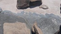 Menikmati gersangnya pantai di Lombok