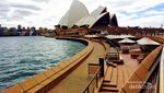 Sekilas Tentang Destinasi Terbaik Sydney