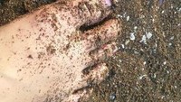 Pasirnya berwarna hitam
