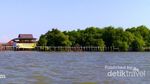 Selain di Jakarta, Hutan Mangrove juga Eksis di Surabaya