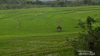 Pemandangan menuju lokasi