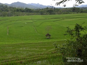 Selain di Pantai Selatan, di Khayangan Juga Dilarang Pakai Baju Hijau