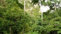 Lokasinya berada di Kampung Merabu