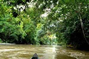 Selain Labuan Cermin, Kaltim Juga Punya Danau Nyadeng