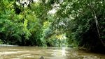 Selain Labuan Cermin, Kaltim Juga Punya Danau Nyadeng