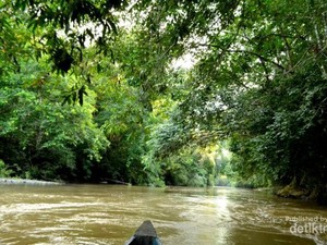 Selain Labuan Cermin, Kaltim Juga Punya Danau Nyadeng