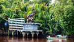 Selain Tanjung Puting, Ini Destinasi Antimainstream di Kalteng