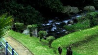 Sungai jernih berbatu di Jatiluwih