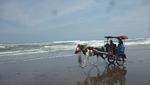 Selalu Kangen Pantai Parangtritis