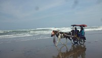 naik delman menggelilingi pantai,  boleh di cobaa.