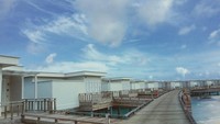 Island Homes