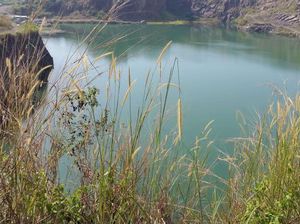 Selamat Pagi dari Danau Cantik Bogor