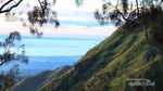 Selamat Pagi dari Gunung Wilis yang Sepi!