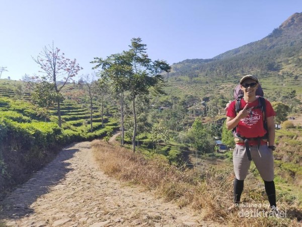 Selamat Pagi Dari Kebun Teh Ungaran