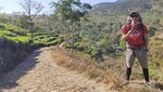 Selamat Pagi dari Kebun Teh Ungaran