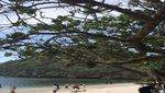 Selamat Pagi dari Pantai Teluk Asmoro Malang