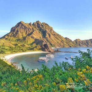 Selamat Pagi dari Pulau Padar yang Cantik