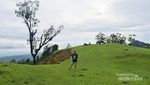 Selandia Baru ala Indonesia di NTT