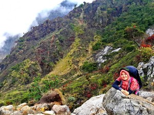 Selandia Baru? Bukan, Ini Gunung Merbabu