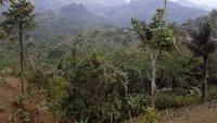 Pemandangan sepanjang perjalanan (Mohammad Husni Thamrin/dTraveler)