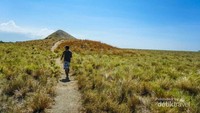 Padang rumput pulau Kenawa