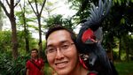 Selfie Bareng Kakatua di Utara Jakarta, Ini Tempatnya