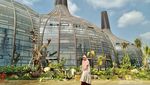 Semarang Punya Dusun Kekinian yang Instagramable
