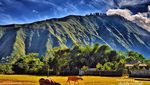 Sembalun, Sungguh Desa Super Cantik di Lombok
