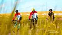 Gowes dengan latar padang rumput dan kumpulan sapi.