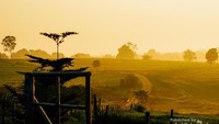 Sunrise di sini indah juga.