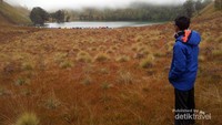 terlihat cantik primadona Semeru