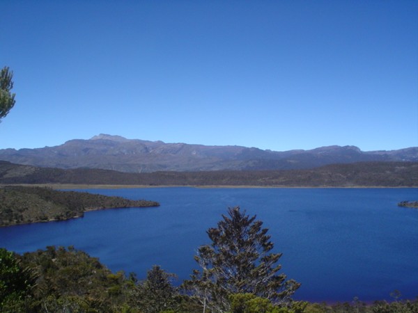 Senandung Alam Papua di Danau Habema