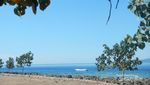 Senangnya Membawa Pulang Kain Tenun khas Alor, NTT