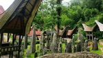 Sendirian ke Tana Toraja, Siapa Takut?