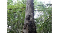 Kambira