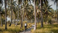 Bersepeda di pulau