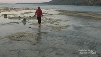 Air laut saat surut